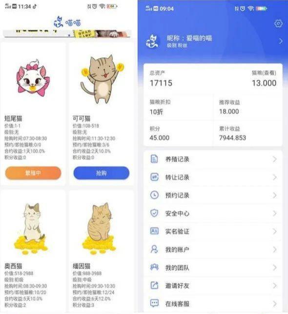 揭秘：号称零撸的“养猫赚钱”骗局套路