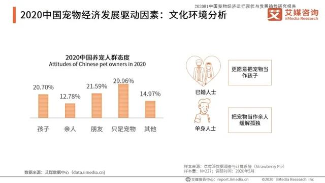 如何打造宠物行业细分领域的暴利项目！