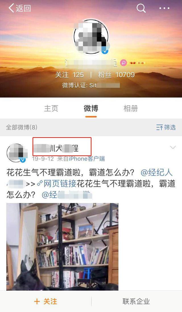 教你出售训狗教程来变现，也能有高收益！