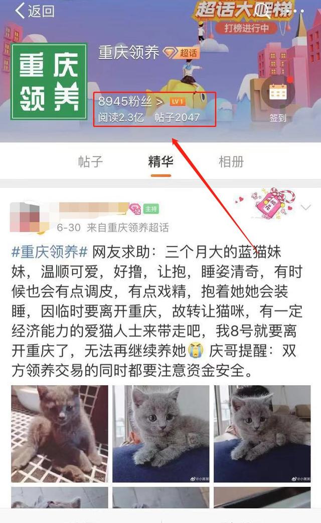 如何在上亿用户活跃的微博精准引流？这个4个引流方法不看必后悔