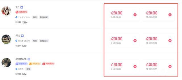 分析完1000个典型案例，告诉你宠物账号都靠什么发财