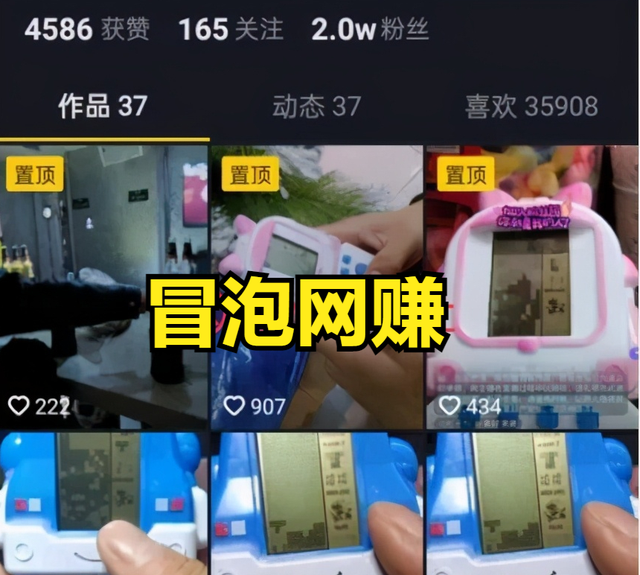 零门槛抖音带货项目，边玩边赚钱，适合新手操作！