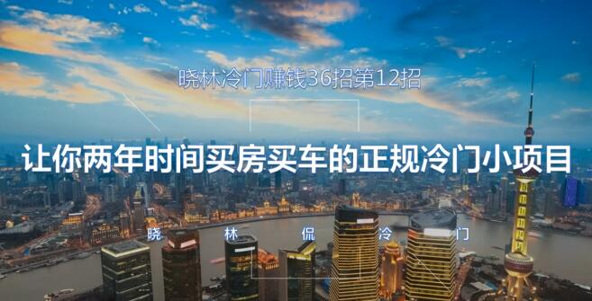 晓林冷门赚钱36招第12招让你两年时间买车买房的的正规冷门小项目【视频课程】