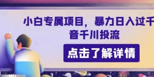 小白专属项目，暴力日入过千抖音千川投流