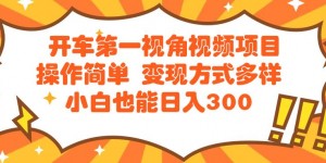 开车第一视角视频项目操作简单变现方式多样小白也能日入300