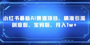 小红书最新AI赛道项目，精准引流创业粉、宝妈粉，月入1w+