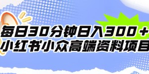 每日30分钟日入300＋小红书小众高端资料项目