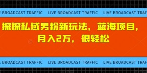 探探私域男粉新玩法，蓝海项目，月入2万，很轻松