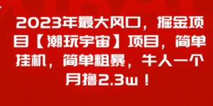 2023年最大风口，掘金项目【潮玩宇宙】，简单挂机，简单粗暴，牛人一个月撸2.3w！