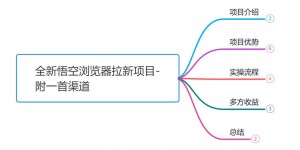 小韩学社88式第五式：最新玩法儿悟空浏览器拉新项目