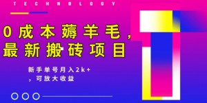 0成本薅羊毛，最新搬砖项目，新手单号月入2k+，可放大操作