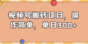 视频号搬砖项目，操作简单，单日300+