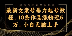 最新文案号暴力起号教程，10条作品涨粉近6万，小白无脑上手