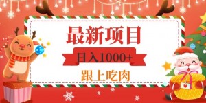 日入1000+，最新项目，0基础可操作