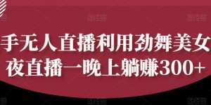 快手无人直播利用劲舞美女深夜直播一晚上躺赚300+