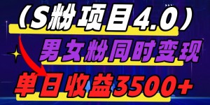 S粉项目4.0，男女粉通吃，男女粉同时变现，单日收益3500+