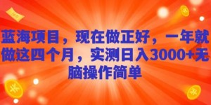 蓝海项目，现在做正好，一年就做这4个月，实测日入3000+，无脑简单操作