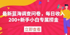 最新蓝海调查问卷，每日收入200+新手小白专属捞金