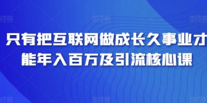 只有把互联网做成长久事业才能年入百万及引流核心课