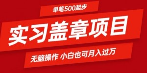 实习代盖章项目一单500起普通人可落地项目小白也可轻易上手