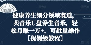 健康养生细分领域赛道，卖音乐U盘养生音乐，轻松月赚一万+，可批量操作【保姆级教程】