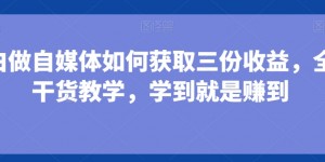 小白做自媒体如何获取三份收益，全是干货教学，学到就是赚到