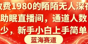 收费1980的陌陌无人深夜助眠直播间，通道人数少，新手小白上手简单