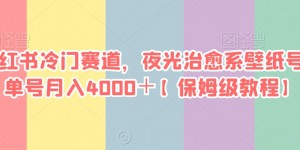 小红书冷门赛道，夜光治愈系壁纸号，单号月入4000＋【保姆级教程】