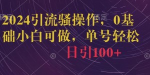 2024引流骚操作，0基础小白可做，单号轻松日引100+