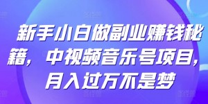 新手小白做副业赚钱秘籍，中视频音乐号项目，月入过万不是梦