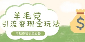 羊毛党引流变现全玩法，年轻市场引流必备