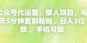 公众号代运营，懒人项目，每天5分钟复制粘贴，日入3位数 ，手机可做