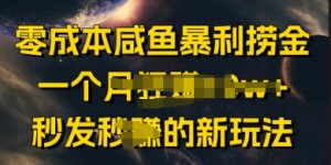 零成本咸鱼暴利捞金，一个月收益过w+，秒发新玩法