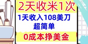 0成本挣美金，超简单，1天收入108刀，2天收米一次，实战教程，首次公开