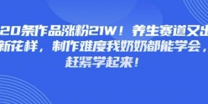 20条作品涨粉21W！养生赛道又出新花样，制作难度我奶奶都能学会，赶紧学起来