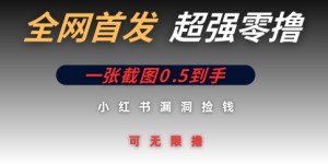 全网首发无限零撸捡钱项目，小红书一张截图0.5元可无限零撸