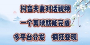有手就会，抖音夫妻对话视频，一个剪映就能完成，多平台分发，疯狂涨粉