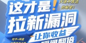 大佬不肯说的秘密，这才是拉新漏洞，让你收益瞬间翻倍
