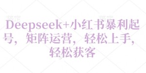 Deepseek+小红书暴利起号，矩阵运营，轻松上手，轻松获客