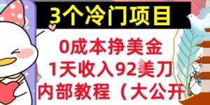 3个冷门项目，0成本挣美金，1天收入92刀，超简单， 内部教程(首次公开)