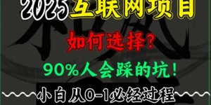 2025年互联网项目搞钱方法论，全是干货，肺腑之言，新手从0-1必经过程，边看边实操