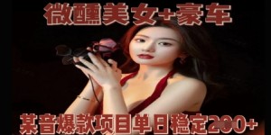 微醺美女+豪车，抖音爆款项目单日稳定2张+