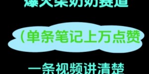 小红书爆火柒奶奶，13 天涨粉 8.7 W，全流程拆解