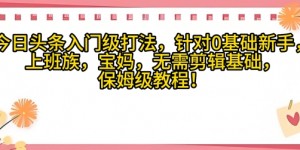 今日头条入门级打法，针对宝妈，上班族，0基础新手的保姆级课程