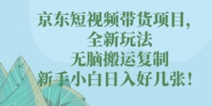 京东短视频带货项目，全新玩法，无脑搬运复制，新手小白日入好几张!