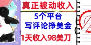写评论挣美金的5个平台，1天收入98美刀，0门槛，真正被动收入