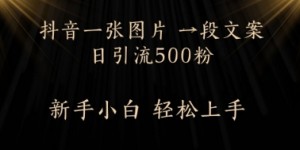 每天2分钟，抖音一张图片 一段文案日引流500粉