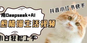 疯狂火爆，用Deepseek+AI做治愈橘猫系列视频，小白轻松制作+快速拿到结果