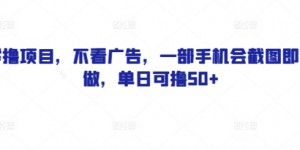 零撸项目，不看广告，一部手机会截图即可做，单日可撸50+