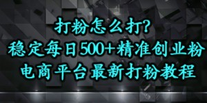 打粉怎么打？电商平台打精准创业粉，每日引流500+精准粉